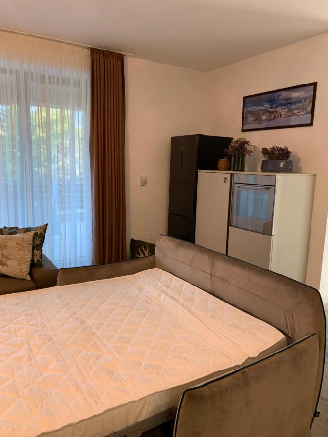 Edelweiss Apartments Silver Resort Пояна Брашов Екстериор снимка